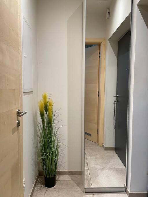 Gartenwohnung Mit Terrasse Und Parkplatz グラーツ エクステリア 写真
