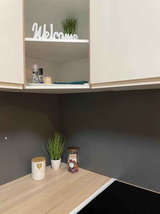 Gartenwohnung Mit Terrasse Und Parkplatz グラーツ エクステリア 写真